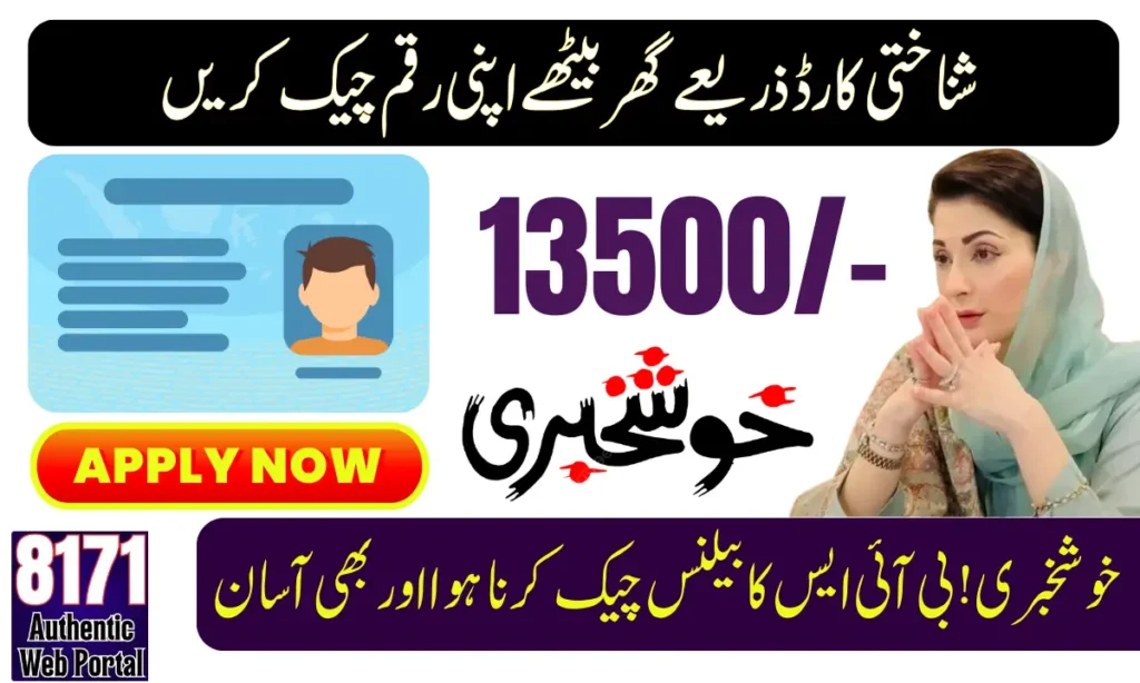 Benazir Income Support Programme 8171 Check Online